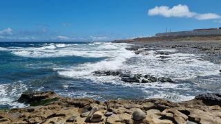2024-03-Playa_Boca-Barranco--Jinamar-19.jpg